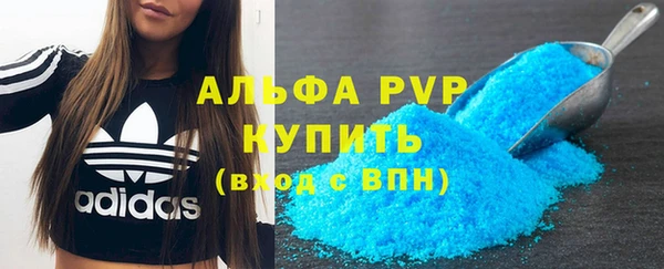 эйфоретик Арсеньев