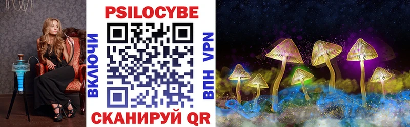 Псилоцибиновые грибы Psilocybe  Северобайкальск 