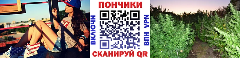 магазин  наркотиков  блэк спрут ТОР  Марихуана тримм  Северобайкальск 